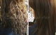 Sandra's Flawless Hair - thumb 3