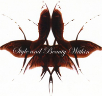 Style amp Beauty Within - Gold Coast Hairdresser