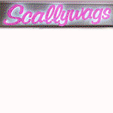 Scallywags Hair & Beauty - Gold Coast Hairdresser 0