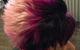 ColourKing Hair & Beauty - thumb 2