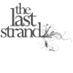 Susanah's Hair Design - Gold Coast Hairdresser