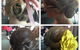 Paula's Mobile Special Occasion Hair - thumb 1