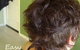 Felicity's Hair Studio - thumb 8