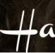 Ashanti Hair Salon - Gold Coast Hairdresser