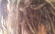 Divine Dreadlocks - thumb 4