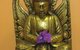 Hair For Buddha - thumb 4