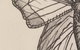 Copper Butterfly Hair Salon - thumb 3