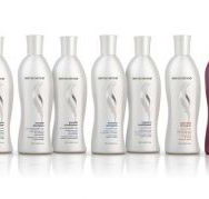 DiLotus Hair Boutique - Gold Coast Hairdresser