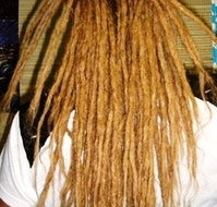 Boho Dreads - Gold Coast Hairdresser