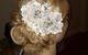 Tantrum Hair Design Campbelltown - thumb 2