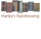 Harley's Men's Haircuts
