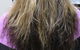 Lush Hair @ Home - thumb 7