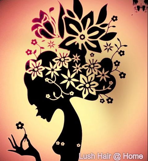 Lush Hair @ Home - Gold Coast Hairdresser 10