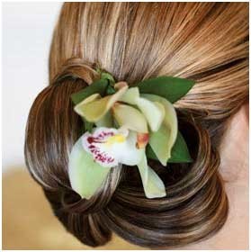 Manly Creative Hair & Beauty - Gold Coast Hairdresser 10